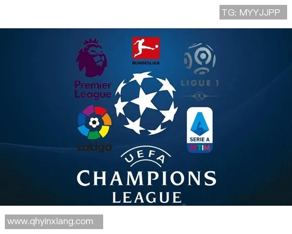 足球迷必备球星贴纸收藏攻略与热门推荐清单